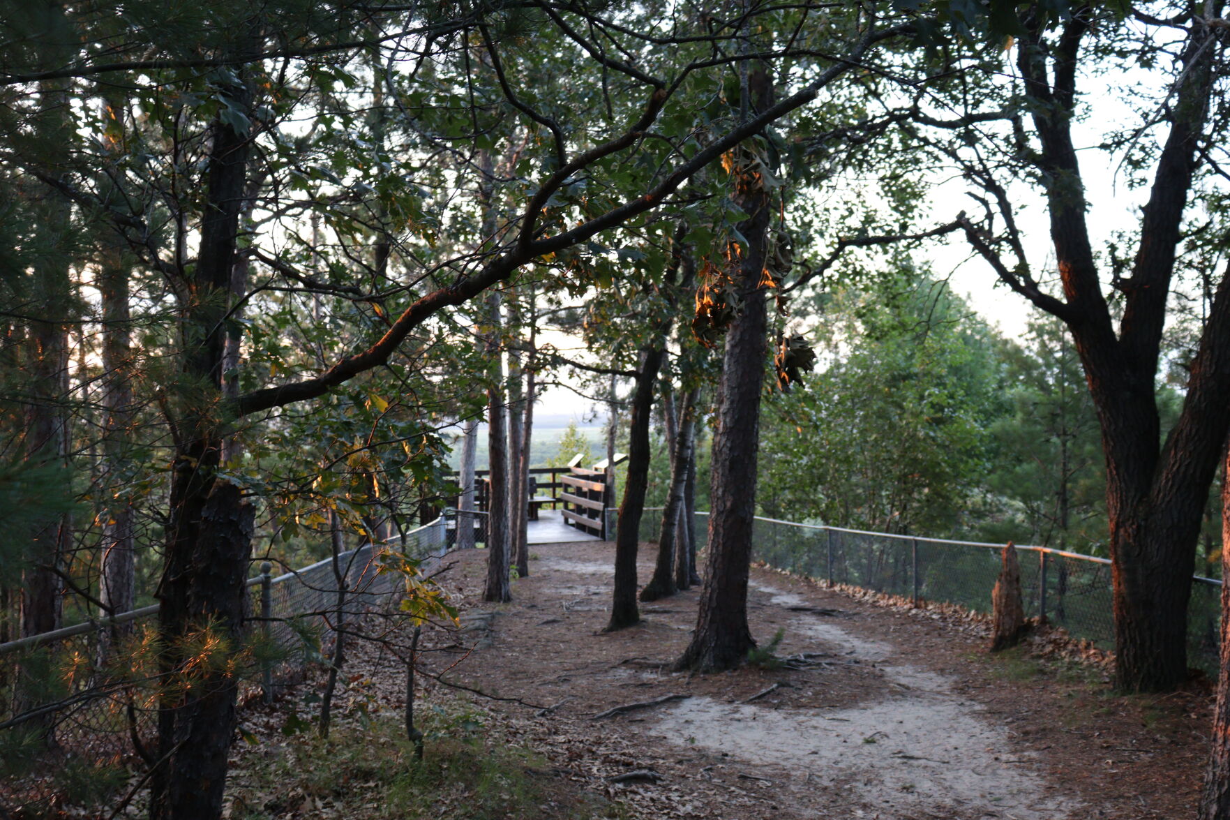 Mill Bluff State Park